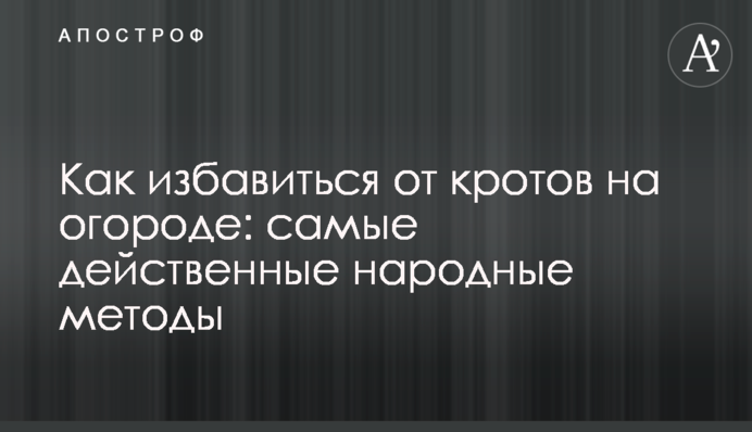 Як позбутися кротів на городі: найдієвіші народні методи