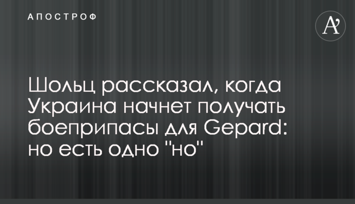 Шольц розповів, коли Україна почне отримувати боєприпаси для Gepard: але є одне 