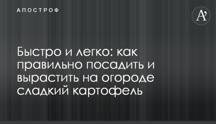 Швидко та легко: як правильно посадити та виростити на городі солодку картоплю