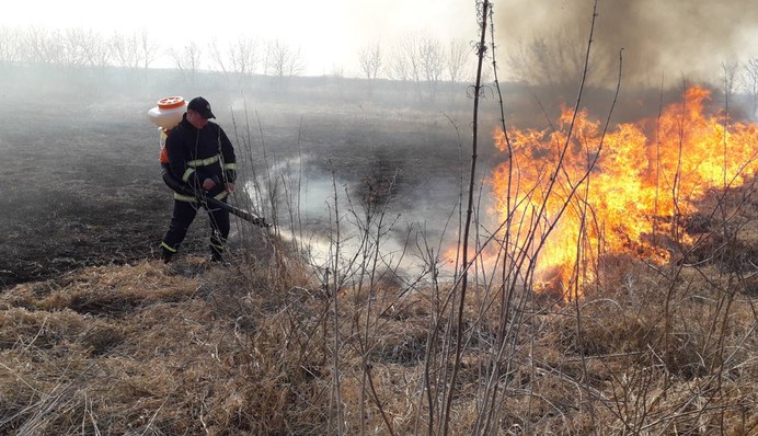 Украинцам напомнили о штрафах до 153 тысяч гривен: за что могут наказать