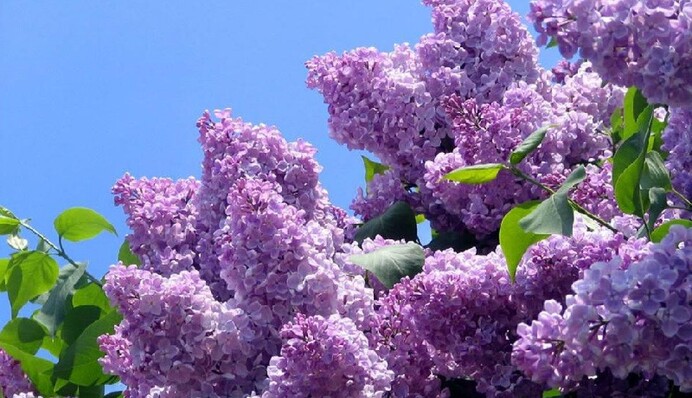 В Украину идет летняя жара с дождями: где столбики термометров поднимутся до +22