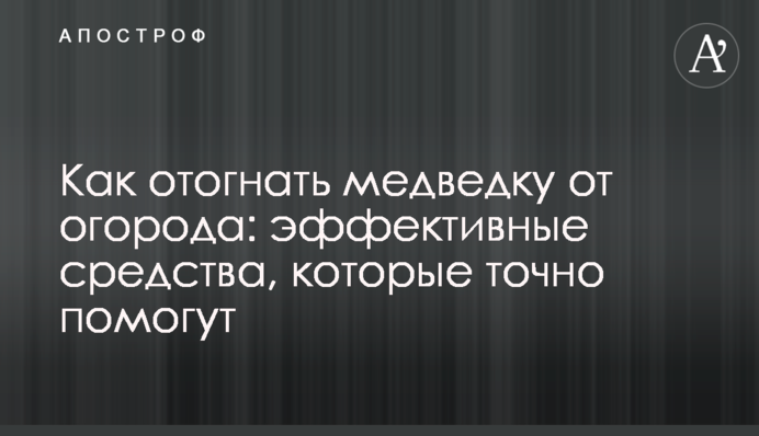 Як відігнати капустянку від городу: ефективні засоби, які точно допоможуть