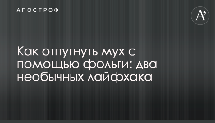 Как отпугнуть мух с помощью фольги: два необычных лайфхака