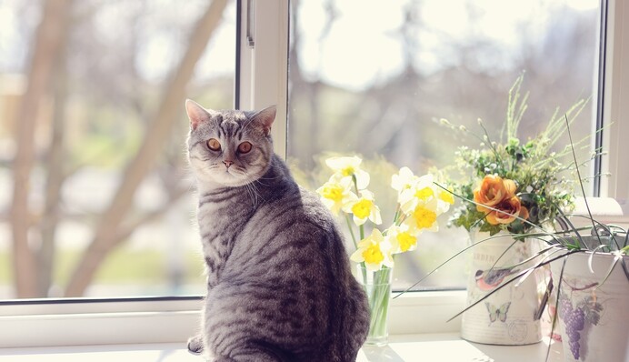 Поможет отмыть подоконник до белизны: полезный лайфхак