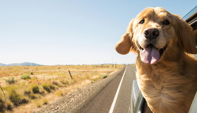 Салон авто можна швидко охолодити без кондиціонера: простий лайфхак