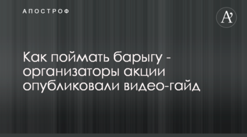Як спіймати баригу - організатори акції опублікували відео-гайд