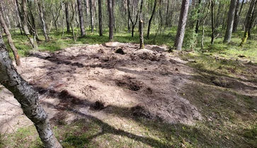 Знайдені біля польського Бидгоща уламки ракети виявилися частинами російської Х-55, - польські експерти