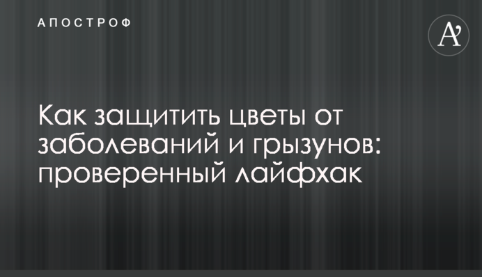 Как защитить цветы от заболеваний и грызунов: проверенный лайфхак
