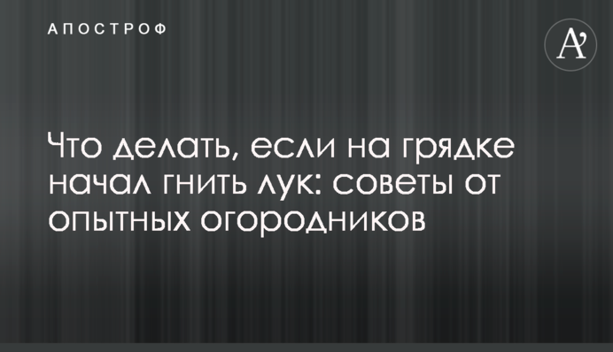 Что делать, если на грядке начал гнить лук: советы от опытных огородников