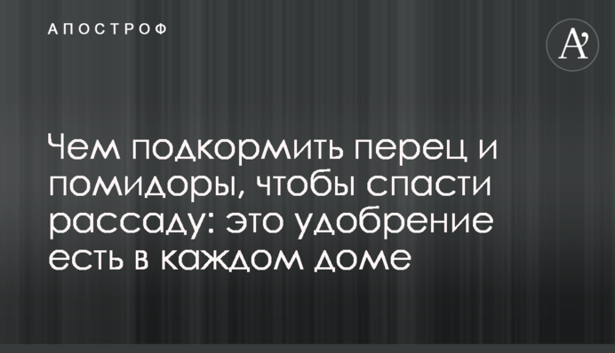 Чим підживити перець і помідори, щоб врятувати розсаду: це добриво є в кожному домі