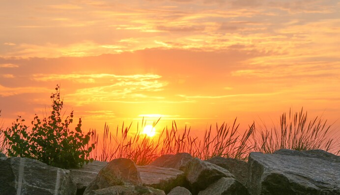 В Украину идет резкое потепление: синоптик рассказала, где ждать майского тепла