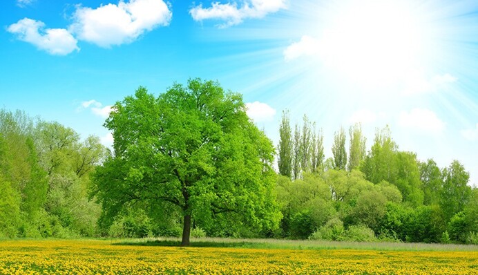 В Украину придет почти летняя жара: синоптики дали прогноз погоды на понедельник