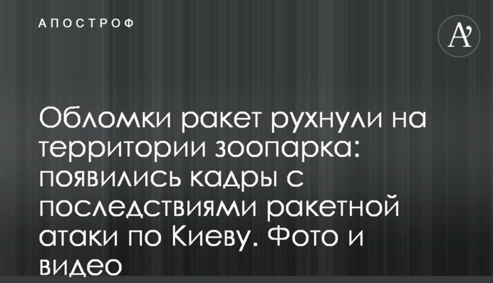 Уламки ракет впали на території зоопарку: з’явилися кадри з наслідками ракетної атаки по Києву. Фото і відео
