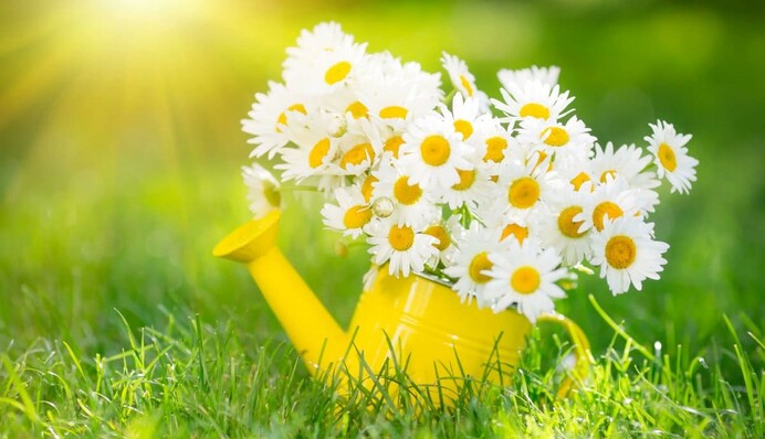 Ожидать ли украинцам значительного потепления: прогноз синоптика до начала лета