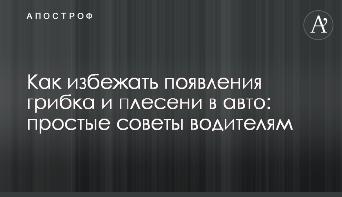 Как избежать появления грибка и плесени в авто: простые советы водителям