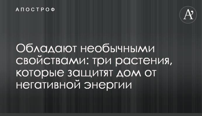 Мають незвичні властивості: три рослини, які захистять дім від негативної енергії
