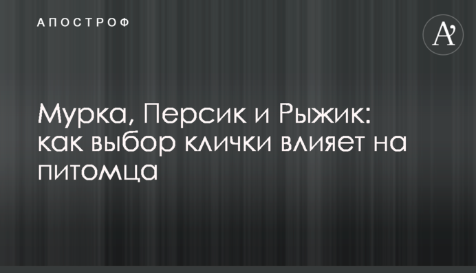 Мурка, Персик та Рижик: як вибір прізвиська впливає на вихованця