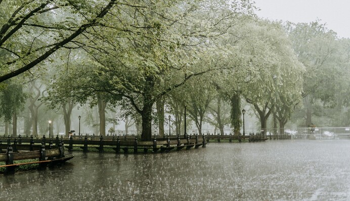 Україну накриють дощі з грозами: синоптики розповіли, де чекати негоди