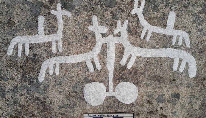 У Швеції виявили наскельні малюнки віком 2,7 тисяч років: спосіб їх нанесення шокував науковців. Фото
