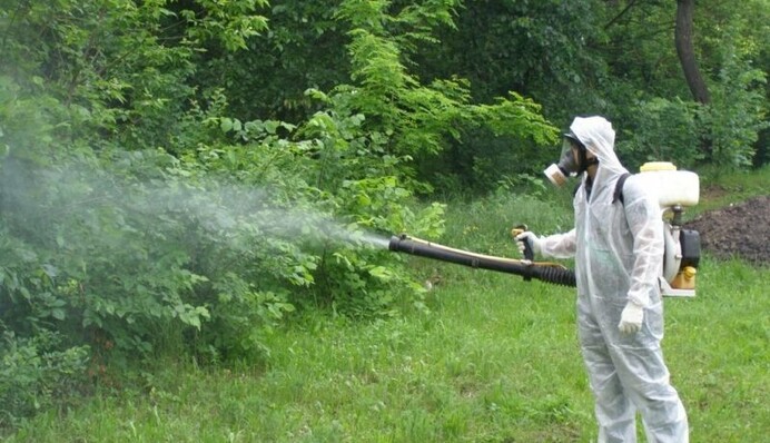 В Киеве парки обработают ядом от клещей: где и когда будут проводиться мероприятия