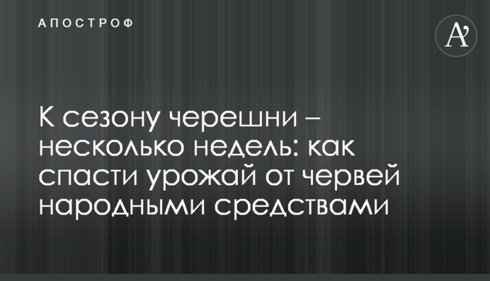 До сезону черешні – кілька тижнів: як врятувати урожай від хробаків народними засобами
