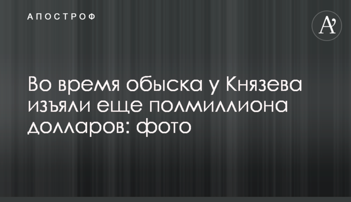 Во время обыска у Князева изъяли еще полмиллиона долларов: фото