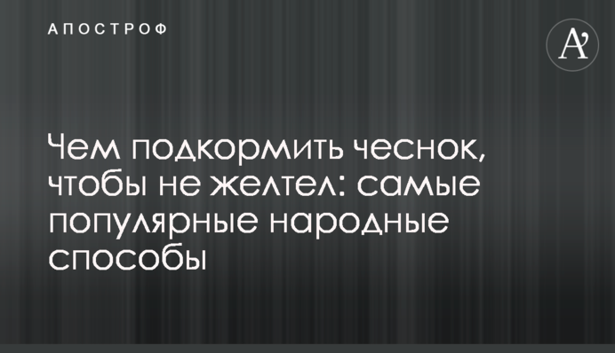 Чем подкормить чеснок, чтобы не желтел: самые популярные народные способы