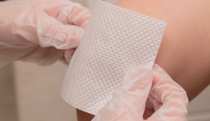 Що робити, якщо вкусила змія: поради, які врятують життя