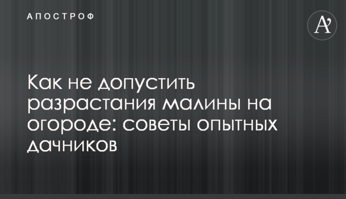 Як не допустити розростання малини на городі: поради досвідчених дачників