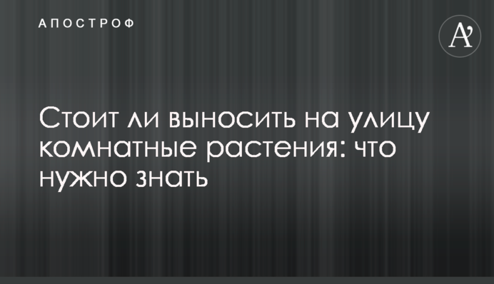 Стоит ли выносить на улицу комнатные растения: что нужно знать