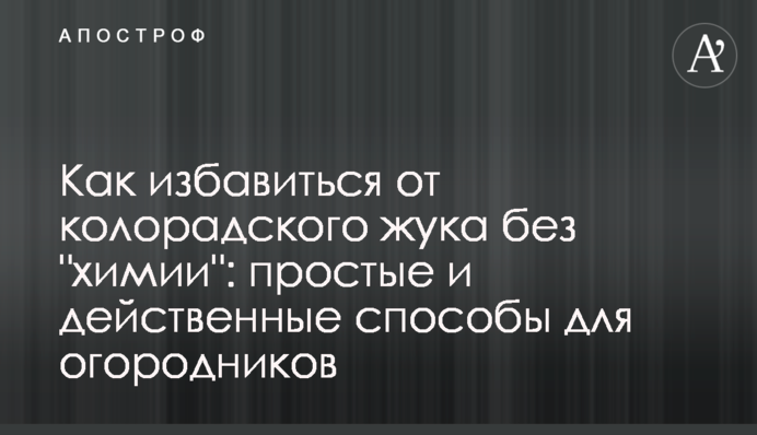 Як позбутися колорадського жука без 