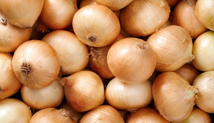 Ціни на цибулю знову побили рекорд: в чому причина і коли чекати зниження