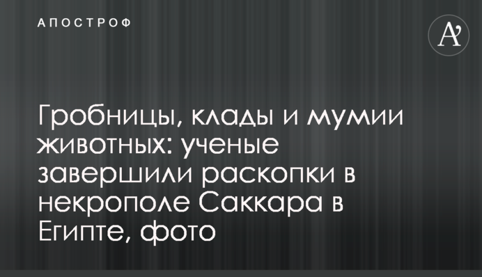 Гробницы, клады и мумии животных: ученые завершили раскопки в некрополе Саккара в Египте, фото