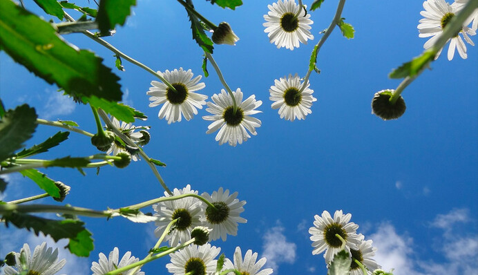 Июнь придет с дождями и грозами: синоптик рассказал о погоде на неделю