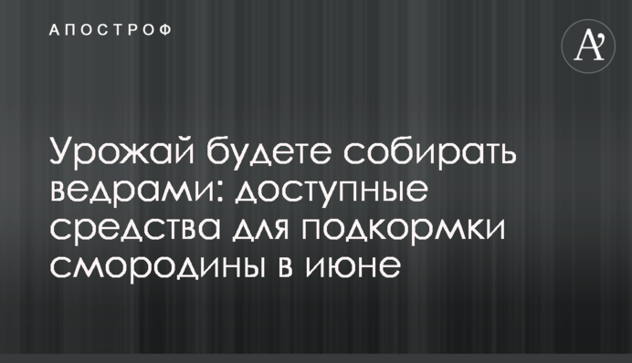 Урожай будете збирати відрами: доступні засоби для підживлення смородини в червні