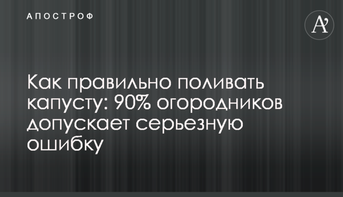 Как правильно поливать капусту: 90% огородников допускает серьезную ошибку