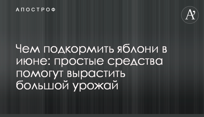 Чем подкормить яблони в июне: простые средства помогут вырастить большой урожай
