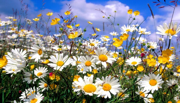 Вдалий день для всіх починань: гороскоп на 2 червня для всіх знаків