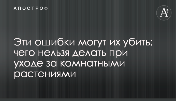 Ці помилки можуть їх вбити: чого не можна робити при догляді за кімнатними рослинами