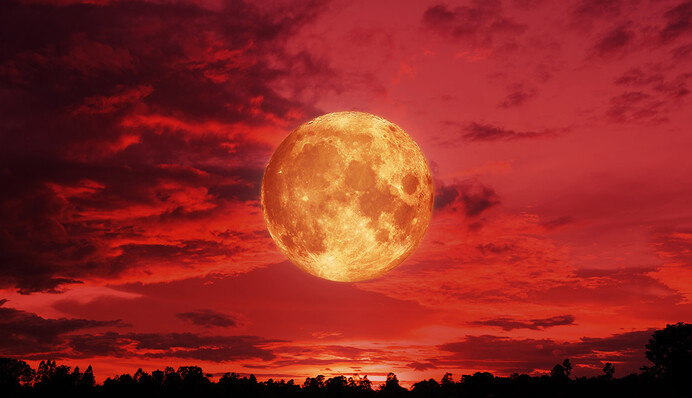 Справи підуть  вгору : Полунична повня відкриє цим знакам грошовий потік