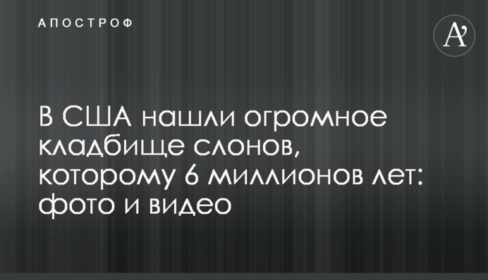 В США нашли огромное кладбище слонов, которому 6 миллионов лет: фото и видео