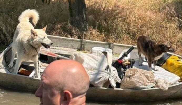 Кожне життя безцінне: з’явилися зворушливі кадри порятунку тварин на Херсонщині