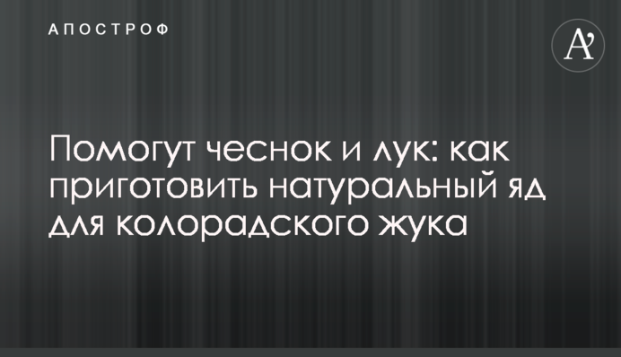 Допоможуть часник і цибуля: як приготувати натуральну отруту для колорадського жука