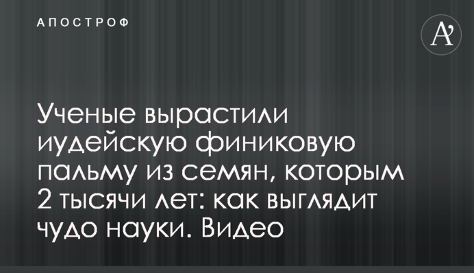 Ученые вырастили иудейскую финиковую пальму из семян, которым 2 тысячи лет: как выглядит чудо науки. Видео