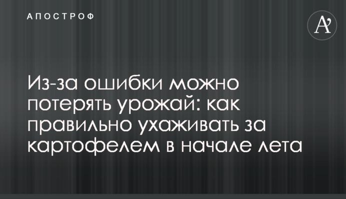 Из-за ошибки можно потерять урожай: как правильно ухаживать за картофелем в начале лета