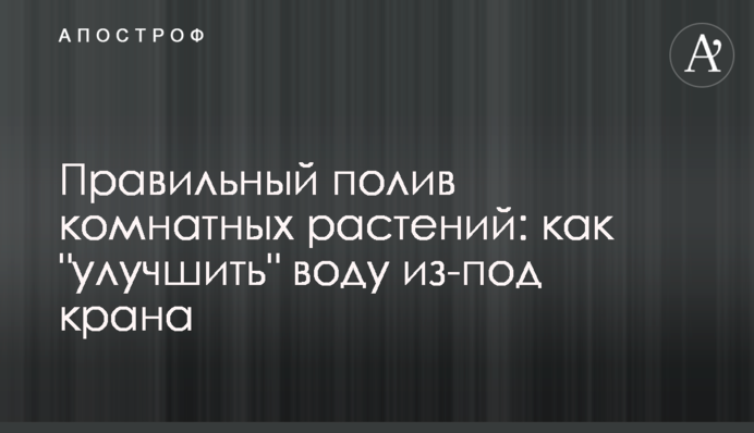 Правильный полив комнатных растений: как 