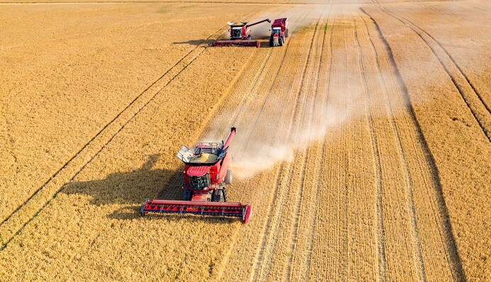Будет меньше, чем год назад: в Кабмине дали оценку урожаю в этом году