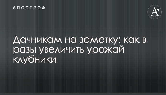 Дачникам на заметку: как в разы увеличить урожай клубники