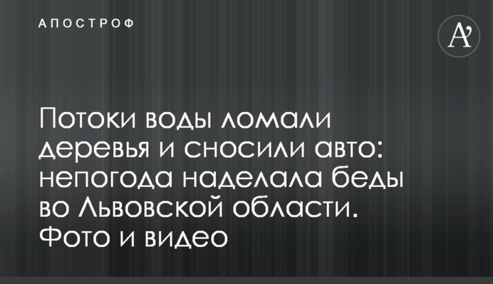 Потоки воды ломали деревья и сносили авто: непогода наделала беды во Львовской области. Фото и видео
