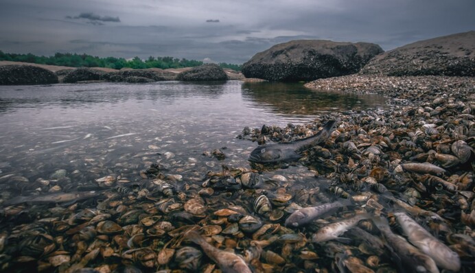 Как выглядит Каховское водохранилище после теракта россиян: апокалиптические фото